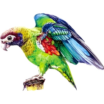 HARAHU Дървено пъзел - Macaw / L KP22011 (22011)