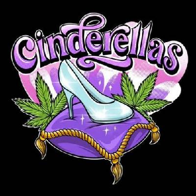 Sumo Seeds Cinderella's semena neobsahují THC 3 ks
