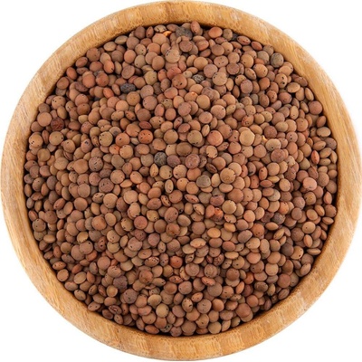 Vital Country Čočka hnědá BIO 1 kg