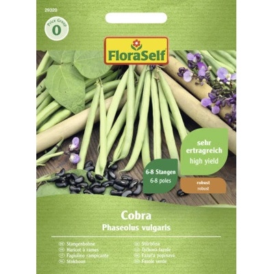 Fazole tyčková Cobra FloraSelf