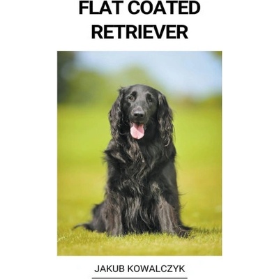 Flat Coated Retriever