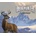 Deer Hunter Reloaded