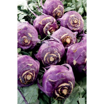 Kaleráb skorý modrý Blankyt - Brassica - semiačka - 50 ks