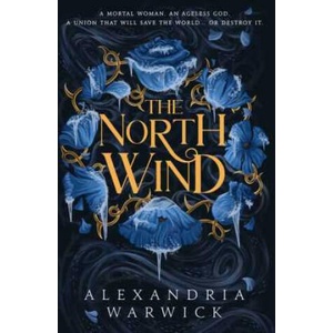 The North Wind (ISBN: 9781398533844)