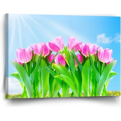 Sablio Obraz Ružové Tulipány - 90x60 cm