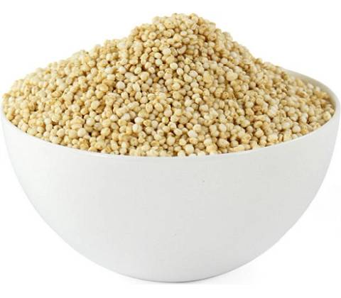 Perro Quinoa 5 kg
