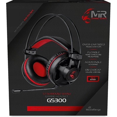 MediaRange MRGS300
