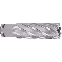 ABSE N-HS-W19-0210050