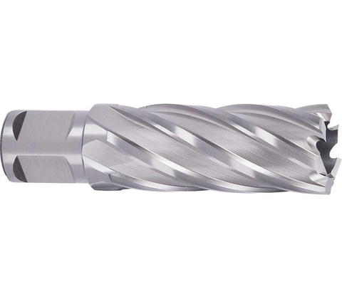 ABSE N-HS-W19-0210050
