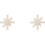 Daniel wellington dw00401612 (dw00401612)