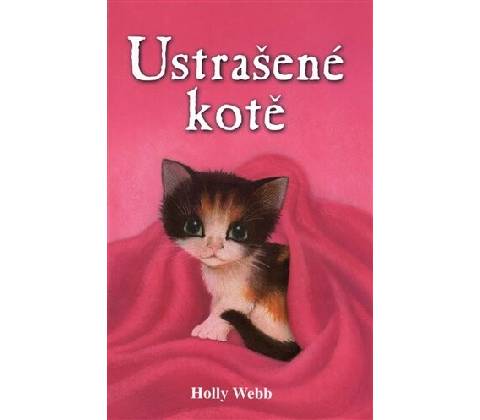 Ustrašené kotě