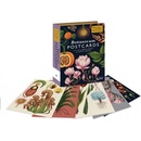 Botanicum Postcards Willis Kathy