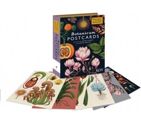 Botanicum Postcards Willis Kathy