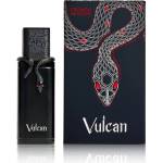 French Avenue Vulcan Black Friday Limited Edition EDP 100ml - Парфюмна вода за мъже Парфюми