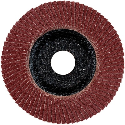 Metabo Lamelový brúsny kotúč 22.23 mm 624398000 10 ks