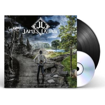 Beautiful Shade of Grey - James LaBrie LP