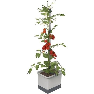 Gusta Garden GG-100610