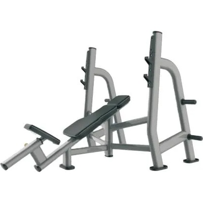 Active Gym Premium Olympic Incline Bench Press