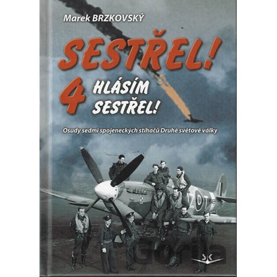 Sestřel! Hlásím sestřel! 4 - Osudy sedmi spojeneckých stíhačů Druhé světové války