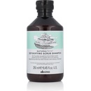 Davines NATURALTECH Detoxifying šampon pro hloubkové čištění atonické pokožky 250 ml