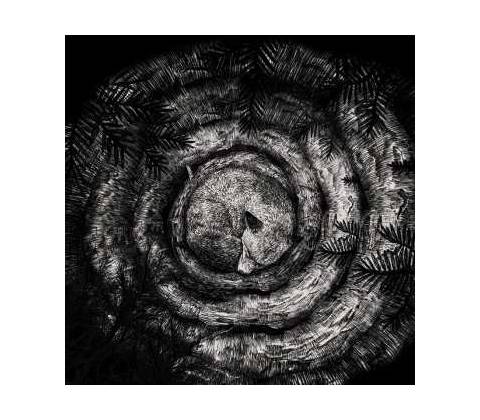 Forhist - Forhist Digipack CD