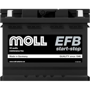 MOLL EFB 64Ah 620A right+