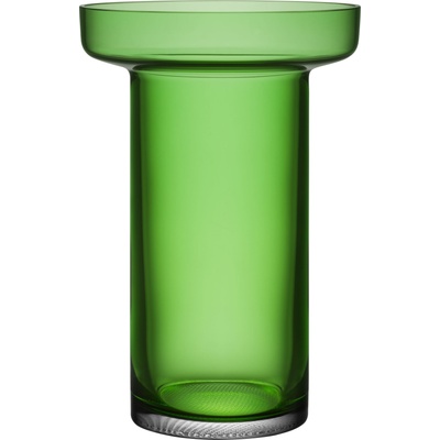 Kosta Boda Ваза Limelight Rose 23 см зелена (7042003)