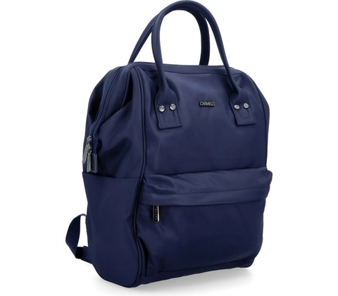 Carmelo 4319 TM modrá 10 l
