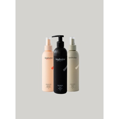 Andreine Scalp Renewal Shampoo 250 ml + Infusion Tonic 200 ml + Leave in Fruit 200 ml