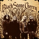 BLACK STONE CHERRY: BLACK STONE CHERRY CD