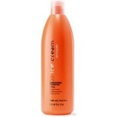 Inebrya Smoothing Shampoo uhlazující 1000 ml