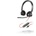 Plantronics 213934-01