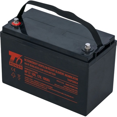 T6 Power NP12-100 12V 100Ah T6UPS0054