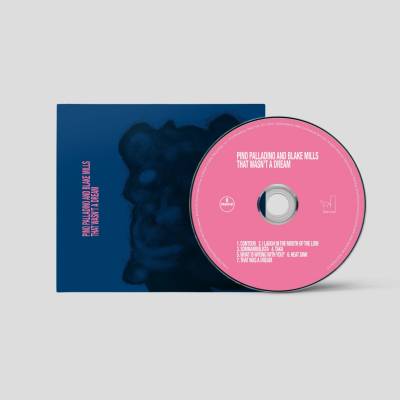 Pino Palladino And Blake Mills - That Wasn't A Dream CD