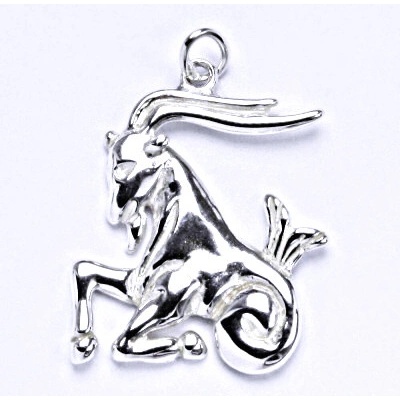 Čištín Stříbrný přívěšek znamení kozoroh, P 941