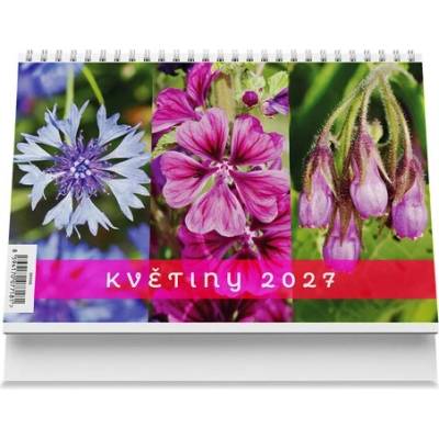 Květiny Stolní autor neuvedený 2027