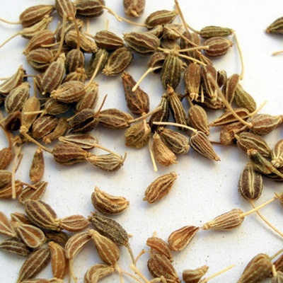 World Herbs Anýz plod 1 kg