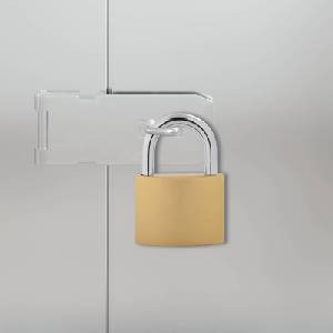 vidaXL U Lock с ключове 50 бр. Месинг Желязо (42021941)
