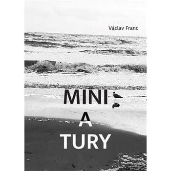 Miniatury