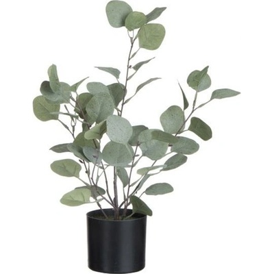 Dekorácie Eucalyptus v kvetináči - Ø12 * 43cm - J-Line by Jolipa