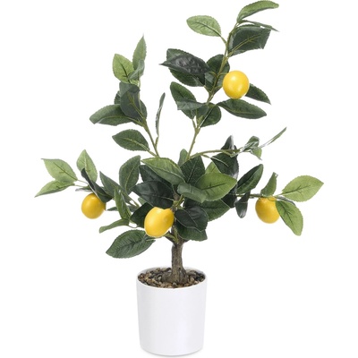 IBERGARDEN Dekorativní citronovník, 58 cm vícebarevný