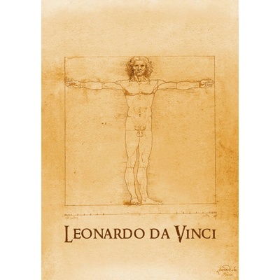 Pohlednice 3D Da Vinci Man