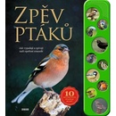 Zpěv ptáků