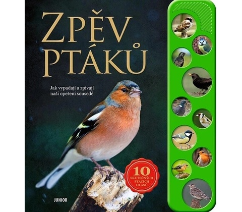 Zpěv ptáků