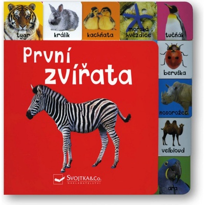 První zvířata