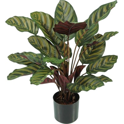 Umelá rastlina Calathea Makoyana bush 58 cm