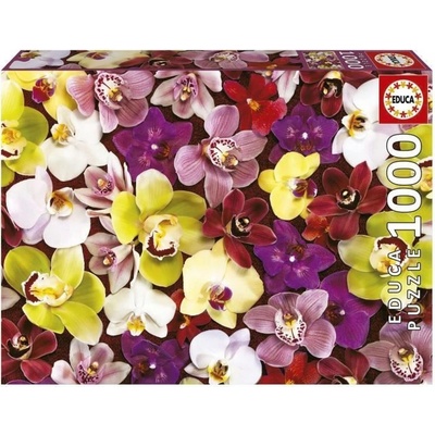 EDUCA Koláž z orchidejí 1000 dílků