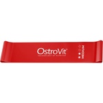 OstroVit Непрекъснат тренировъчен ластик Medium / Червен