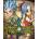Dragon Quest Treasures