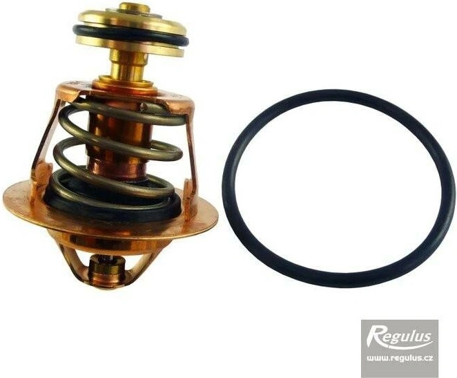 Regulus 12101